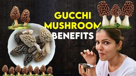 benefits of gucci mushroom|can you eat gucchi mushrooms.